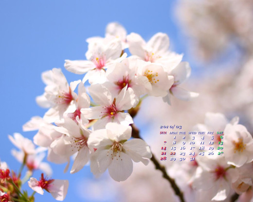 402296 (a): :1280x1024